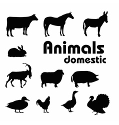 Domestic animals silhouettes vector image