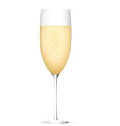 Champagne glass vector image