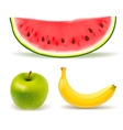 Fresh fruit set on white background vector image