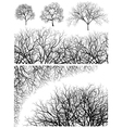 Tree design elements Tree design elements vector image
