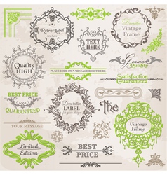 Set Calligraphic Design Elements vector image