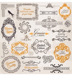 Set Calligraphic Design Elements vector image