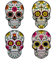 Day of the dead skull set vector image