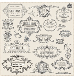 Set Calligraphic Design Elements vector image