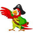 Talking pirate parrot vector image