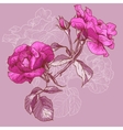 Beautiful Seamless Rose Background vector image