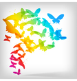 Colorful background with butterflies vector image