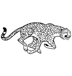 Running cheetah black and white vector image