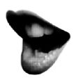 illustration of sexy lips vector image