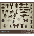 Set vector image