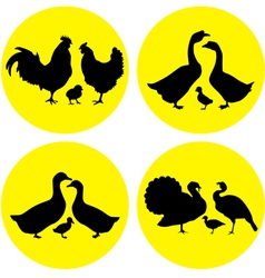Family farm poultry vector image