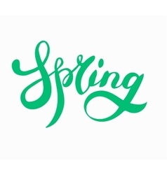Word spring brush lettering poster vector image