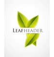 Green leaves background vector image