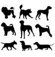 Dog set vector image