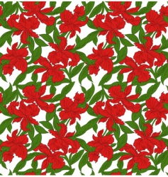 Flower ornament vector image