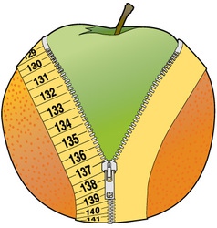 Orange peel Orange peel vector image