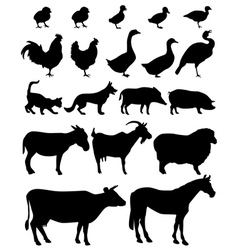 Farm animal vector image