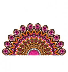 Peacocks tail vector image