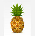 Pineapple vector image