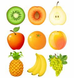 Fruit vector image