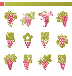 Logo template - grape with green leaf vector image