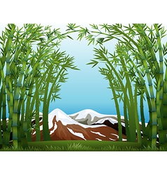 A snowy mountain vector image