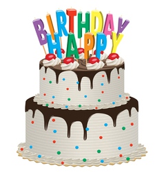Birthday chocolate cake vector image