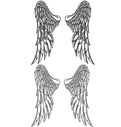 Wings collection vector image
