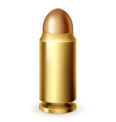 Bullet icon vector image