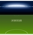 Soccer field with white lines on green vector image