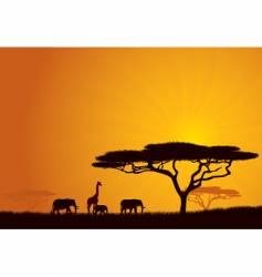 African background vector image
