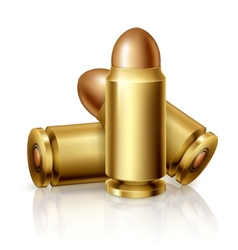 Bullets vector image
