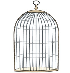 Gold cage Gold cage vector image