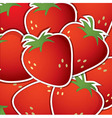 Fruit background vector image
