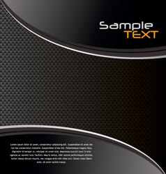 Elegant fiber carbon background vector image