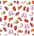 Internal human organs seamless pattern vector image