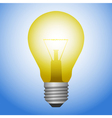 Light bulb vector image