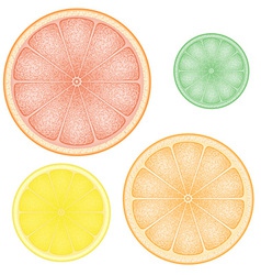 Set of citrus 01 vector image