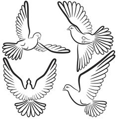 black and white contours of four pigeons that fly vector image