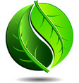 Green Logo - Yin Yang LEAF Symbol vector image
