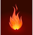 Fire flame vector image