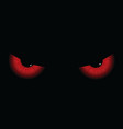 Evil eyes vector image