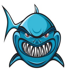 Shark vector image