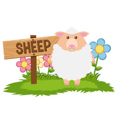 Border design with sheep on the farm Royalty Free Vector
