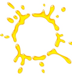 Fresh orange juice vector image
