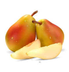 Juicy pear vector image