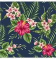 Floral seamless patterns vector image