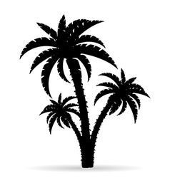 Palm tree silhouette 06 vector image