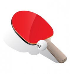 Ping-Pong paddle and ball vector image