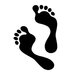 Footprints vector image
